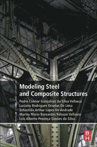 bokomslag Modeling Steel and Composite Structures