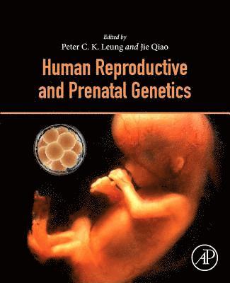 bokomslag Human Reproductive and Prenatal Genetics