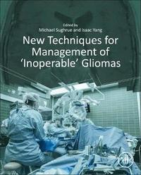 bokomslag New Techniques for Management of 'Inoperable' Gliomas