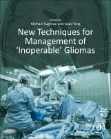 bokomslag New Techniques for Management of 'Inoperable' Gliomas