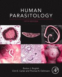 bokomslag Human Parasitology