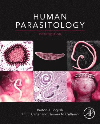 bokomslag Human Parasitology