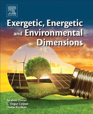 bokomslag Exergetic, Energetic and Environmental Dimensions