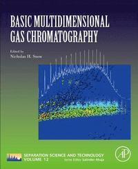 bokomslag Basic Multidimensional Gas Chromatography