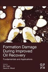 bokomslag Formation Damage during Improved Oil Recovery