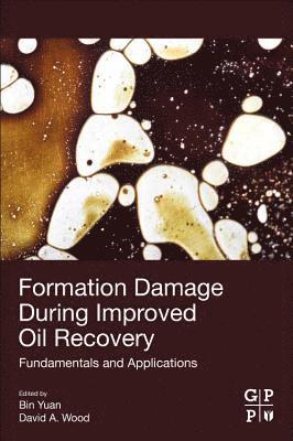 bokomslag Formation Damage during Improved Oil Recovery