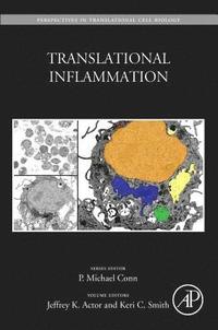 bokomslag Translational Inflammation