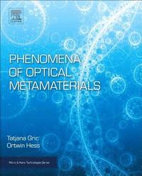 bokomslag Phenomena of Optical Metamaterials