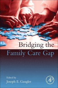 bokomslag Bridging the Family Care Gap