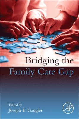 Bridging the Family Care Gap 1