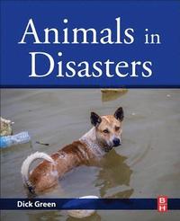 bokomslag Animals in Disasters