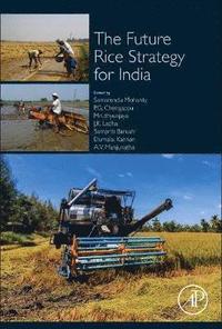 bokomslag The Future Rice Strategy for India