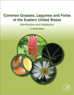 bokomslag Common Grasses, Legumes and Forbs of the Eastern United States