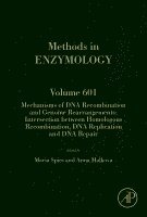 bokomslag Mechanisms of DNA Recombination and Genome Rearrangements: Intersection Between Homologous Recombination, DNA Replication and DNA Repair