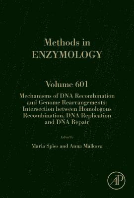 Mechanisms of DNA Recombination and Genome Rearrangements: Intersection Between Homologous Recombination, DNA Replication and DNA Repair 1