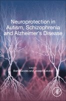 Illana Gozes, Joseph Levine - Neuroprotection in Autism, Schizophrenia and Alzheimer's disease, Häftad