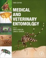 Medical and Veterinary Entomology 1