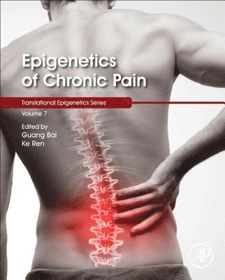 bokomslag Epigenetics of Chronic Pain