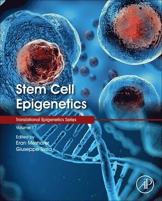 bokomslag Stem Cell Epigenetics