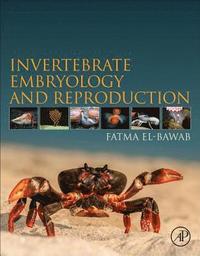 bokomslag Invertebrate Embryology and Reproduction