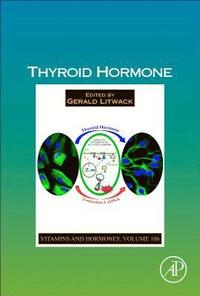 bokomslag Thyroid Hormone