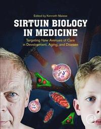 bokomslag Sirtuin Biology in Medicine