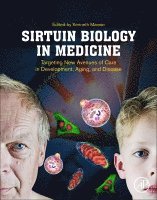 Kenneth Maiese - Sirtuin Biology in Medicine, Häftad