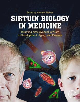 bokomslag Sirtuin Biology in Medicine