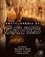 William B. White, David C. Culver, Tanja Pipan - Encyclopedia of Caves, Häftad