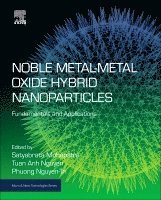 Satyabrata Mohapatra, Tuan Anh Nguyen, Phuong Nguyen-Tri - Noble Metal-Metal Oxide Hybrid Nanoparticles, Häftad