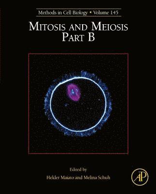 Mitosis and Meiosis Part B 1