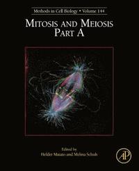 bokomslag Mitosis and Meiosis Part A