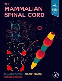 bokomslag The Mammalian Spinal Cord