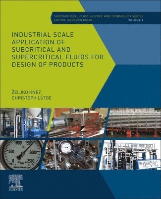 Industrial Scale Application of Subcritical and Supercritical Fluids for Design of Products 1