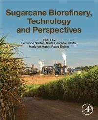 bokomslag Sugarcane Biorefinery, Technology and Perspectives