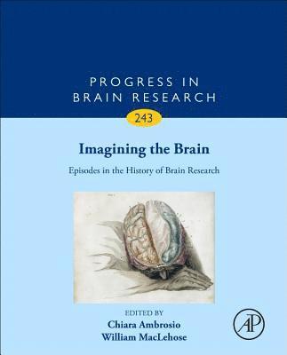 bokomslag Imagining the Brain: Episodes in the History of Brain Research