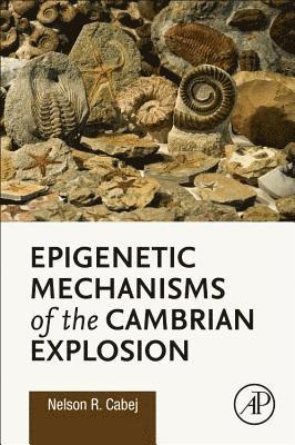 bokomslag Epigenetic Mechanisms of the Cambrian Explosion