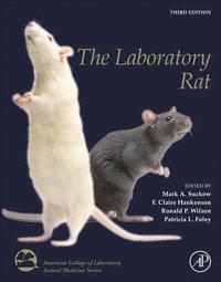 bokomslag The Laboratory Rat
