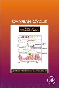 bokomslag Ovarian Cycle
