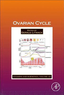 Ovarian Cycle 1