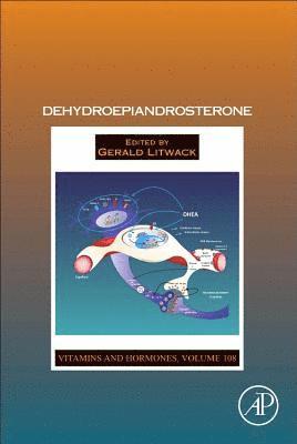 bokomslag Dehydroepiandrosterone