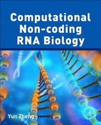 bokomslag Computational Non-coding RNA Biology