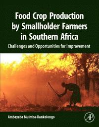 bokomslag Food Crop Production by Smallholder Farmers in Southern Africa