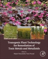 M.N.V. Prasad - Transgenic Plant Technology for Remediation of Toxic Metals and Metalloids, Häftad