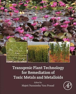 bokomslag Transgenic Plant Technology for Remediation of Toxic Metals and Metalloids