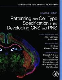 bokomslag Patterning and Cell Type Specification in the Developing CNS and PNS