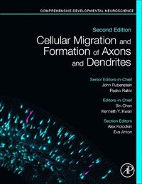 bokomslag Cellular Migration and Formation of Axons and Dendrites