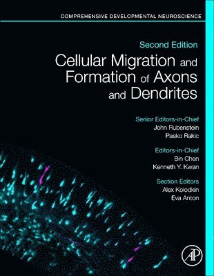 Cellular Migration and Formation of Axons and Dendrites 1
