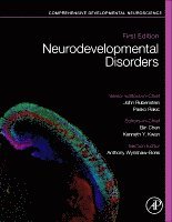 Bin Chen, Kenneth Y. Kwan - Neurodevelopmental Disorders, Inbunden
