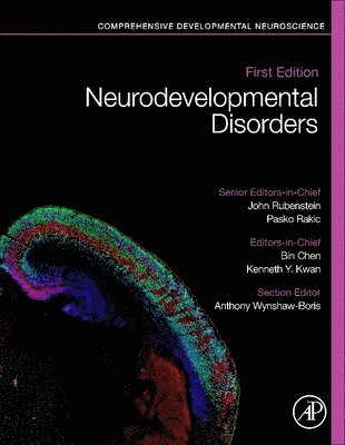 bokomslag Neurodevelopmental Disorders